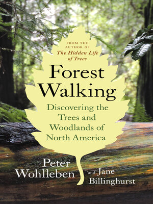 cover image of Forest Walking